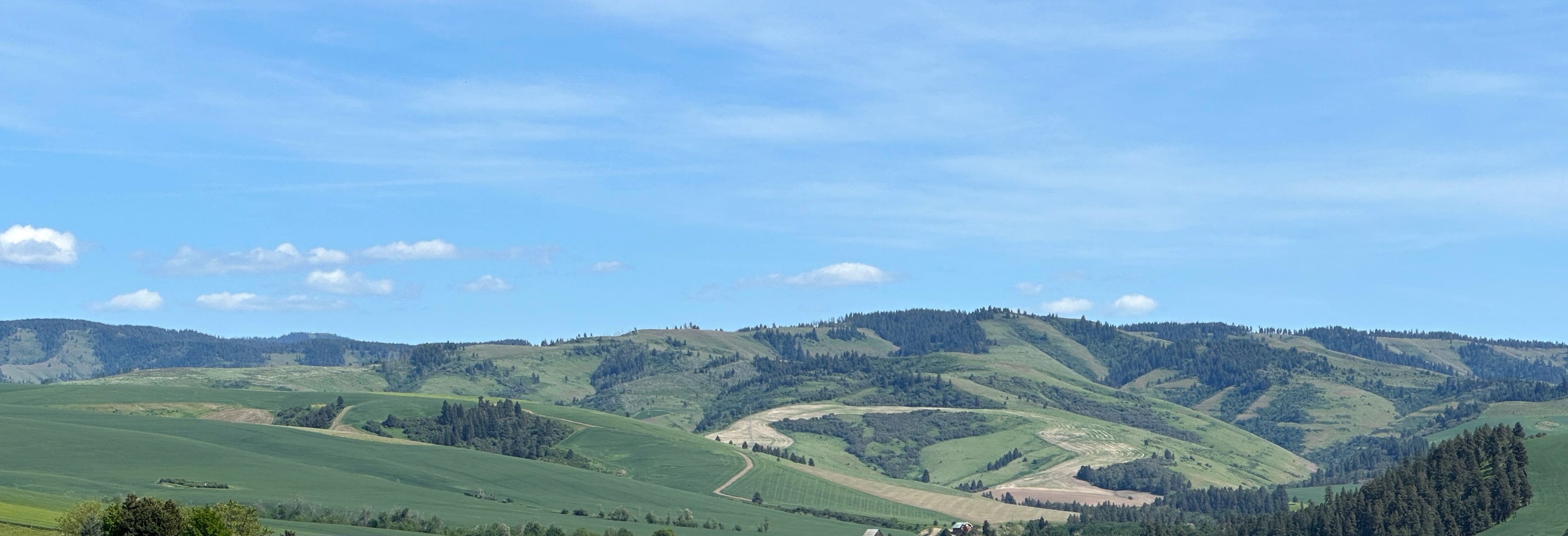 Adamant Cellars